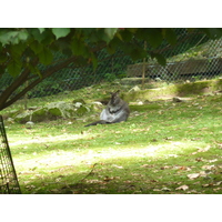 รูปถ่าย อิตาลี(Italy) วิลลาปัลลาวีชีโน(Villa Pallavicino) 2009-06 111