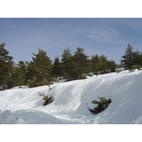 รูปถ่าย ฝรั่งเศส(France) เกรโอลีแยร์(Greolieres) 2006-02 42