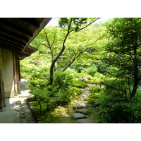 รูปถ่าย ญี่ปุ่น(Japan) โตเกียว(Tokyo) พิพิธภัณฑ์เนซุ(Nezu Museum) 2010-06 11
