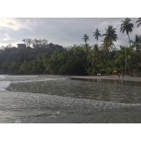 รูปถ่าย คอสตาริกา(Costa Rica) มานวยล์อันโตนีโอ(Manuel Antonio) 2015-03 233