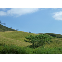 รูปถ่าย ฟิจิ(Fiji) ถนนจากนาดีไปนาตาโดลา(Nadi to Natadola road) 2010-05 89