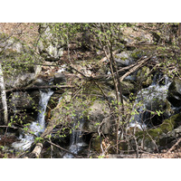 รูปถ่าย ฝรั่งเศส(France) แอบบีแซ็งมาร์แต็งดูกานีกู(Abbaye Saint Martin du Canigou) 2018-04 63