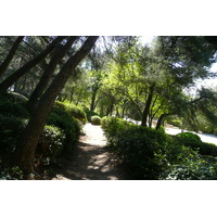 รูปถ่าย ฝรั่งเศส(France) โบแกร์(Beaucaire) ปราสาทโบแกร์(Beaucaire castle) 2008-04 33