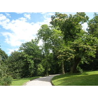 รูปถ่าย อิตาลี(Italy) วิลลาปัลลาวีชีโน(Villa Pallavicino) 2009-06 99