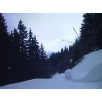 รูปถ่าย สวิสเซอร์แลนด์(Switzerland) กรินเดลวัลด์(Grindelwald) 1999-04 2