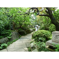 รูปถ่าย ญี่ปุ่น(Japan) โตเกียว(Tokyo) พิพิธภัณฑ์เนซุ(Nezu Museum) 2010-06 10