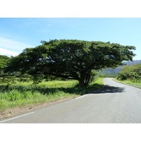 รูปถ่าย นิวแคลิโดเนีย(New Caledonia) ถนนจากตงตูตาไปทีโอ(Tontouta to Thio road) 2010-05 100