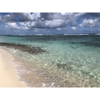 รูปถ่าย กวาเดอลูป(Guadeloupe) หาดกร็องด์อ็องส์เดซาลีน(Grande Anse des Salines Beach) 2021-02 1