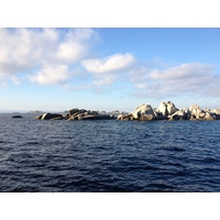 รูปถ่าย ฝรั่งเศส(France) คอร์สิคา(Corsica) เกาะกาวัลโล(Cavallo) 2012-09 93