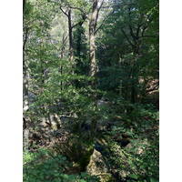 รูปถ่าย ฝรั่งเศส(France) คอร์สิคา(Corsica) บาแวลลา(Bavella) 2012-09 1