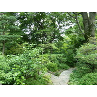 รูปถ่าย ญี่ปุ่น(Japan) โตเกียว(Tokyo) พิพิธภัณฑ์เนซุ(Nezu Museum) 2010-06 12