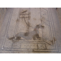 รูปถ่าย อิตาลี(Italy) ปอมเปอี(Pompeii) 2004-11 21