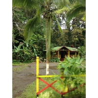 รูปถ่าย คอสตาริกา(Costa Rica) ปวยร์โตเบียโฆเดตาลามังกา(Puerto Viejo de Talamanca) 2015-03 61