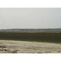 รูปถ่าย พม่า(Myanmar) หาดหม่องมะกันด้านเหนือ(Maungmagan North) 2005-01 1