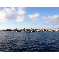 รูปถ่าย ฝรั่งเศส(France) คอร์สิคา(Corsica) เกาะกาวัลโล(Cavallo) 2012-09 59