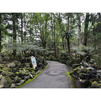 รูปถ่าย สิงคโปร์(Singapore) สวนพฤกษศาสตร์สิงคโปร์(Singapore Botanic Gardens) 2023-01 12