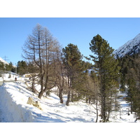 รูปถ่าย สวิสเซอร์แลนด์(Switzerland) จากปอนเตรซีนาไปลาโกเบียนโก(From Pontresina to Lago Bianco) 2007-01 55