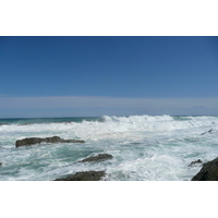 รูปถ่าย แอฟริกาใต้(South Africa) อุทยานแห่งชาติซิตซิคัมมา(Tsitsikamma National Park) 2008-09 168