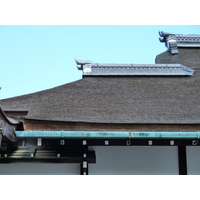 รูปถ่าย ญี่ปุ่น(Japan) เกียวโต(Kyoto) พระราชวังหลวงเกียวโต(Kyoto Imperial Palace) 2010-06 118