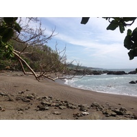 รูปถ่าย คอสตาริกา(Costa Rica) มอนเตซูมา(Montezuma) 2015-03 626
