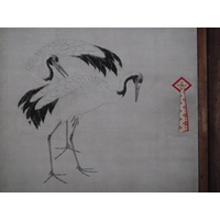 รูปถ่าย ญี่ปุ่น(Japan) เกียวโต(Kyoto) พระราชวังหลวงเกียวโต(Kyoto Imperial Palace) 2010-06 142