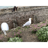 รูปถ่าย ฝรั่งเศส(France) แซ็งมาโล(St Malo) 2020-06 106