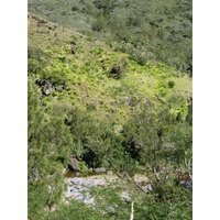 รูปถ่าย นิวแคลิโดเนีย(New Caledonia) ถนนจากตงตูตาไปทีโอ(Tontouta to Thio road) 2010-05 19