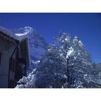 รูปถ่าย สวิสเซอร์แลนด์(Switzerland) กรินเดลวัลด์(Grindelwald) 1999-04 10