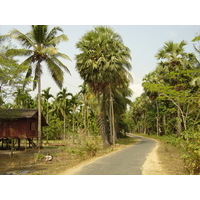 รูปถ่าย พม่า(Myanmar) หาดหม่องมะกันด้านเหนือ(Maungmagan North) 2005-01 8