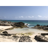 รูปถ่าย กวาเดอลูป(Guadeloupe) แหลมคาสเซิลพอยต์(Castle Point) 2021-02 328
