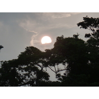 รูปถ่าย นิวแคลิโดเนีย(New Caledonia) เกาะต้นสน(Ile des pins) 2010-05 20