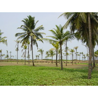รูปถ่าย อินเดีย(India) กัว(Goa) โรงแรมไฮแอต(Hyatt Hotel) 2003-05 38