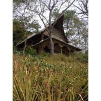 รูปถ่าย คอสตาริกา(Costa Rica) มอนเตซูมา(Montezuma) 2015-03 7