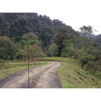 รูปถ่าย คอสตาริกา(Costa Rica) แม่น้ำปากัวเร(Pacuare River) 2015-03 201