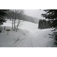 รูปถ่าย ฝรั่งเศส(France) เมแฌฟว์(Megeve) เลอปลาเน(Le Planay) 2010-02 13