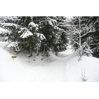 รูปถ่าย ฝรั่งเศส(France) เมแฌฟว์(Megeve) เลอปลาเน(Le Planay) 2010-02 21