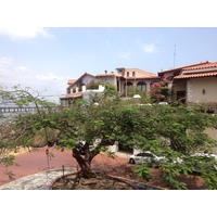 รูปถ่าย ปานามา(Panama) ปานามาซิตี(Panama City) 2015-03 73