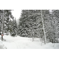 รูปถ่าย ฝรั่งเศส(France) เมแฌฟว์(Megeve) เลอปลาเน(Le Planay) 2010-02 38