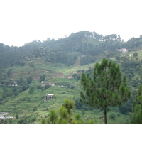 รูปถ่าย ปากีสถาน(Pakistan) ถนนจากอิสลามาบัดไปมัรรี(Islamabad to Murree road) 2006-08 29