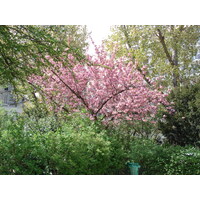 รูปถ่าย ฝรั่งเศส(France) ปารีส(Paris) คุ้มที่ 17 (17th Arrondissement) 2006-04 17