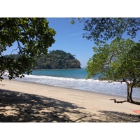 รูปถ่าย คอสตาริกา(Costa Rica) มานวยล์อันโตนีโอ(Manuel Antonio) 2015-03 283