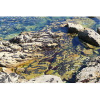 รูปถ่าย ฝรั่งเศส(France) คาบสมุทรกีเบอรง(Quiberon peninsula) 2008-07 106