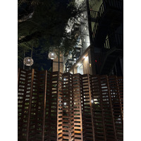 รูปถ่าย ไทย(Thailand) เชียงใหม่(Chiang Mai) 2024-12 55