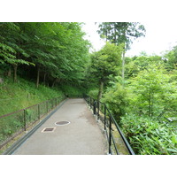 รูปถ่าย ญี่ปุ่น(Japan) เกียวโต(Kyoto) วัดคิโยมิซุเดระ(Kiyomizu Dera Temple) 2010-06 63