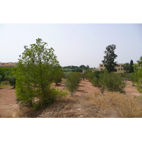 รูปถ่าย โมร็อกโก(Morocco) เม็กเนส(Meknes) 2008-07 82