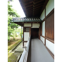 รูปถ่าย ญี่ปุ่น(Japan) เกียวโต(Kyoto) ปราสาทนิโจ(Nijo Castle) 2010-06 63