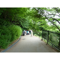 รูปถ่าย ญี่ปุ่น(Japan) เกียวโต(Kyoto) วัดคิโยมิซุเดระ(Kiyomizu Dera Temple) 2010-06 62