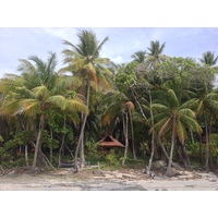 รูปถ่าย คอสตาริกา(Costa Rica) มอนเตซูมา(Montezuma) 2015-03 89