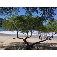 รูปถ่าย คอสตาริกา(Costa Rica) มานวยล์อันโตนีโอ(Manuel Antonio) 2015-03 154