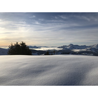 รูปถ่าย ฝรั่งเศส(France) ปรา-ซูร์-อาร์ลี(Praz sur Arly) 2019-12 312